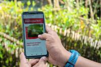 Telkomsel Jaga Bumi Lewat Carbon Offset